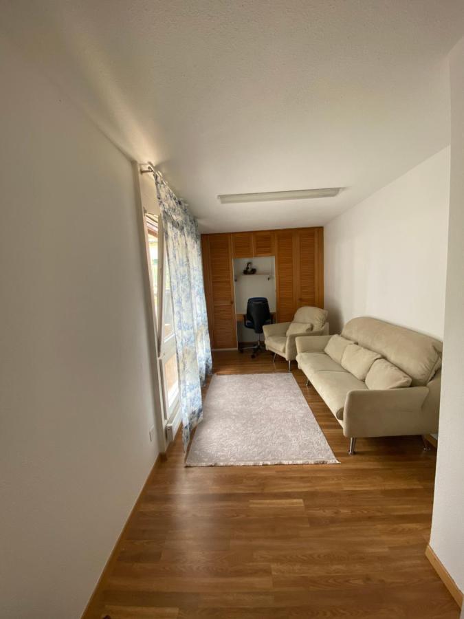 Get Cozy Family Flat Zuerich Apartment Luaran gambar