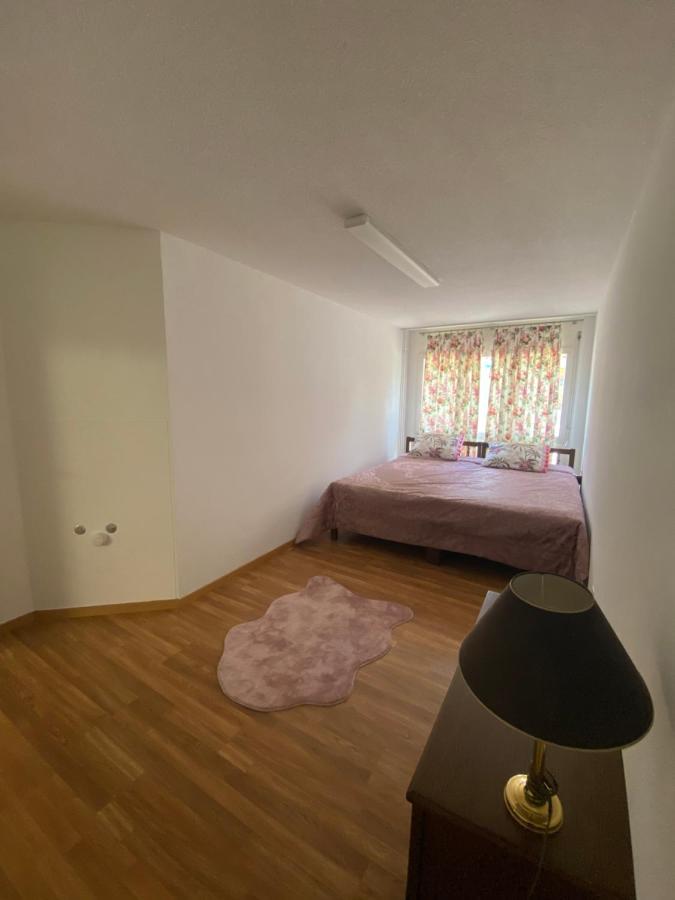 Get Cozy Family Flat Zuerich Apartment Luaran gambar