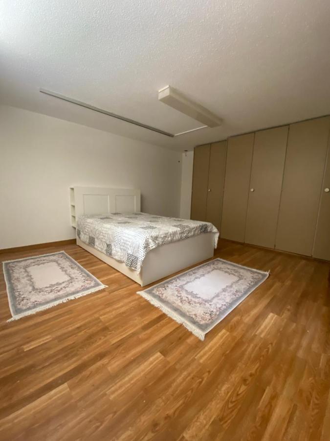 Get Cozy Family Flat Zuerich Apartment Luaran gambar